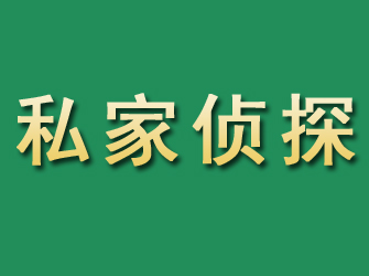 九龙市私家正规侦探