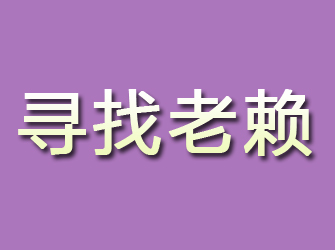 九龙寻找老赖