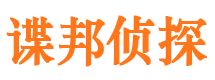 九龙市私家侦探公司